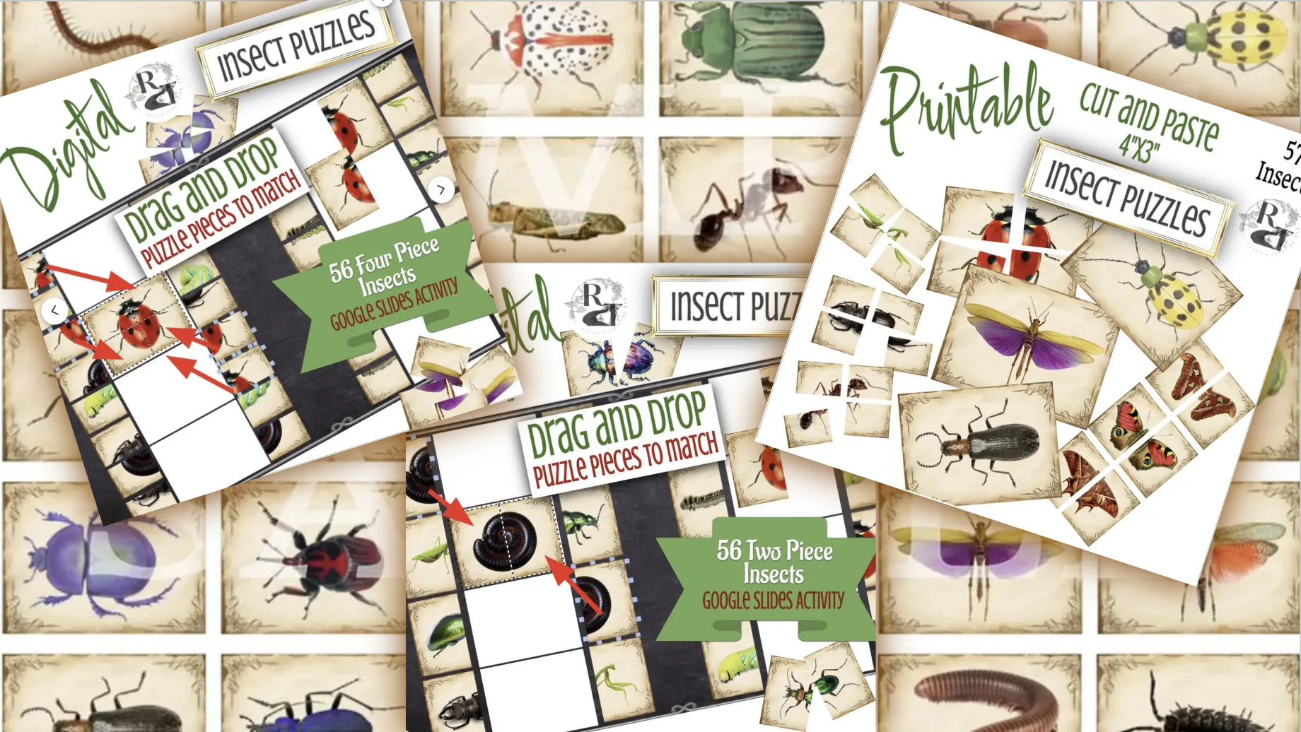 Outdoor Education Drag and Drop and Printable Insect Task Cards and Puzzles. Forest Education, Montessori